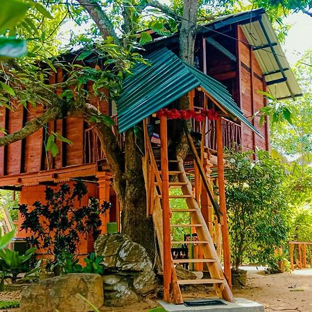 Sigiri Sky Home & Treehouse Sigiriya Bagian luar foto
