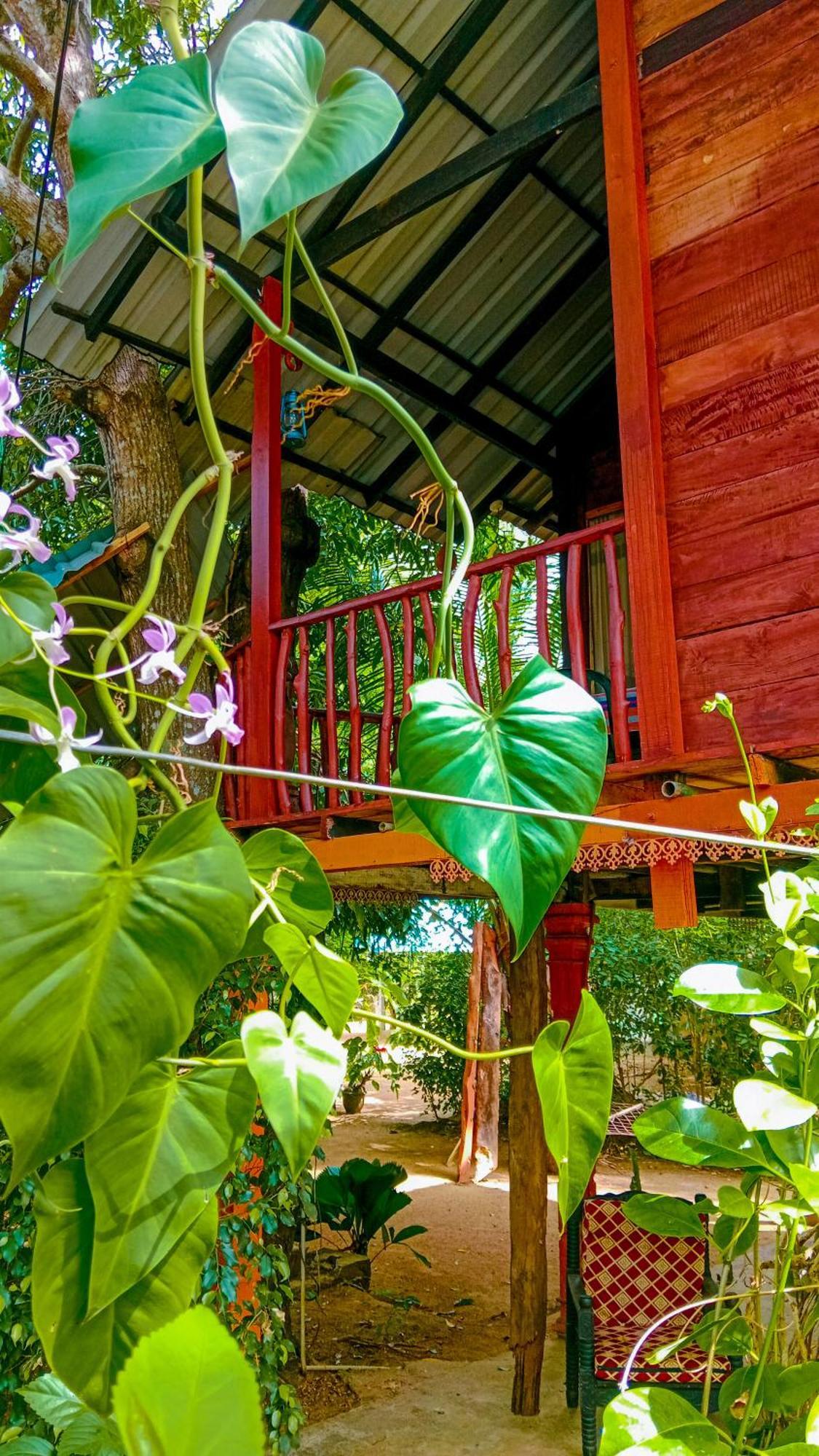 Sigiri Sky Home & Treehouse Sigiriya Bagian luar foto