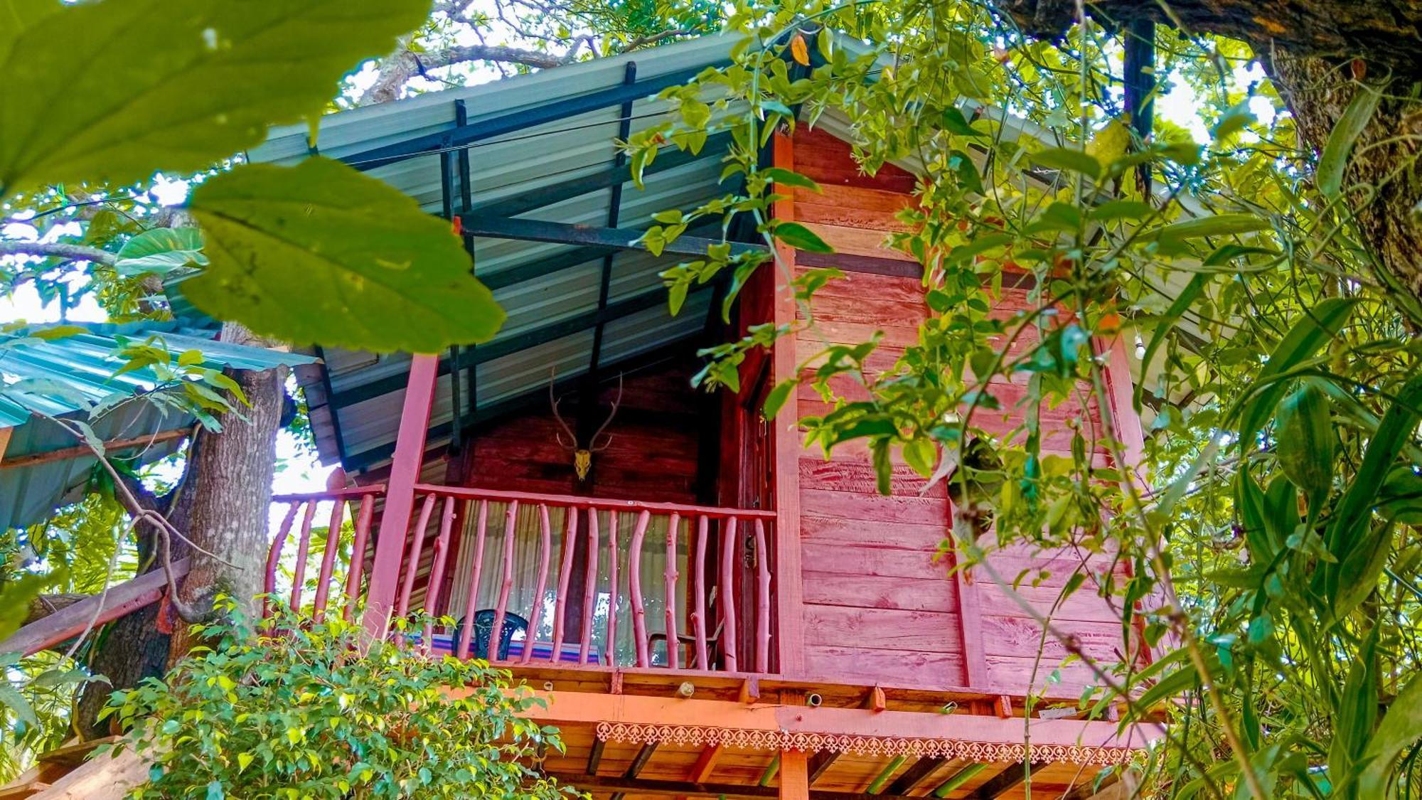 Sigiri Sky Home & Treehouse Sigiriya Bagian luar foto