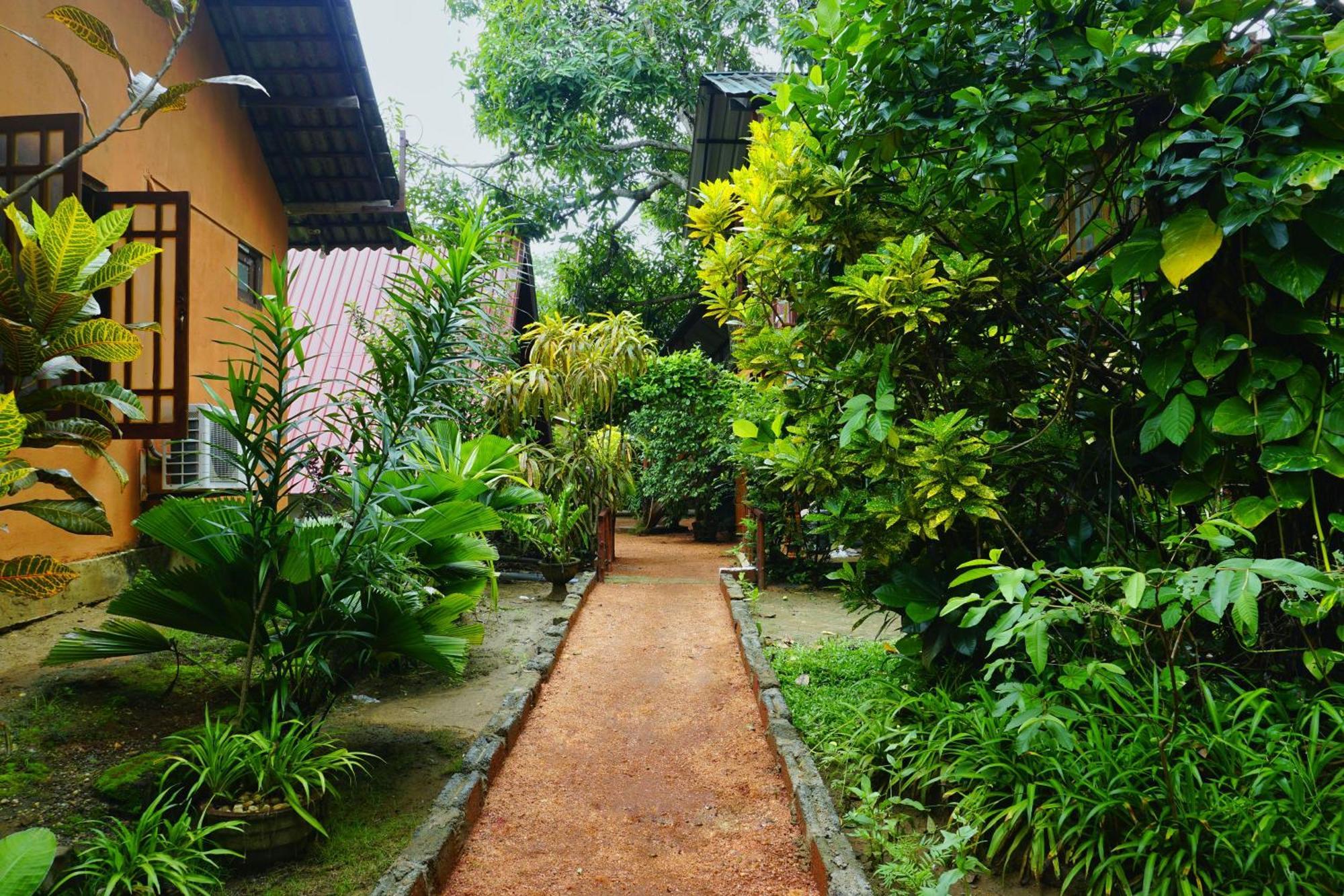 Sigiri Sky Home & Treehouse Sigiriya Bagian luar foto